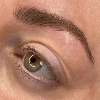 Hairstroke Brows