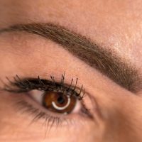 Powder Brows