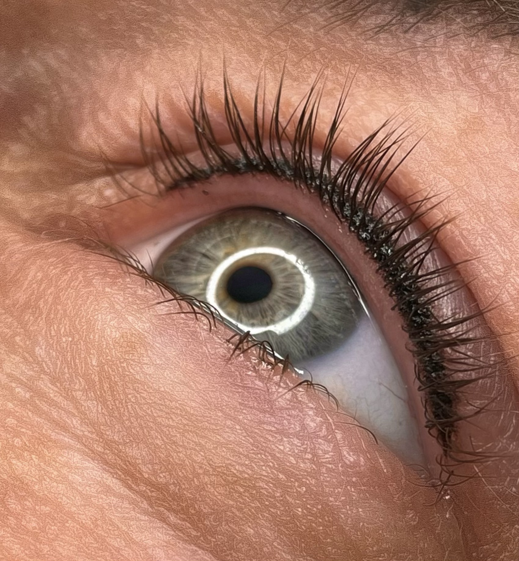 Wimpernkranz © Arisari INK